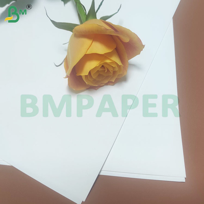 22-53 mm de papel blanco de paja de seguridad para alimentos Rollos de papel Kraft imprimibles