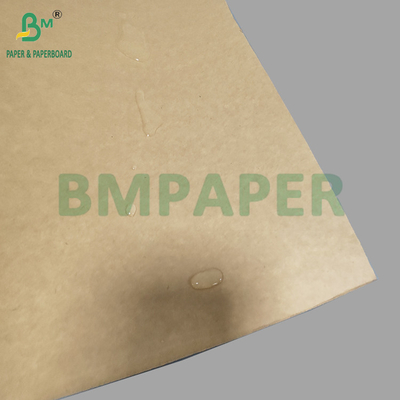 Grado alimenticio Kraft 320gm + 20g de papel recubierto en PE para tazas de café Gran volumen 900mm