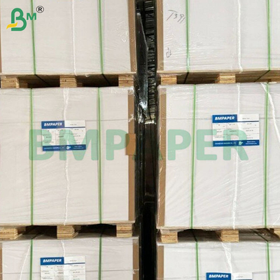 Kit 5 30gm Envases de alimentos resistentes al calor Rollos de papel resistentes a la grasa