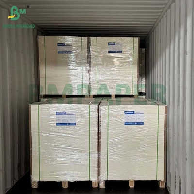 35PT 40PT Tableros de pulpa de absorción natural de color blanco para la fabricación de montañas