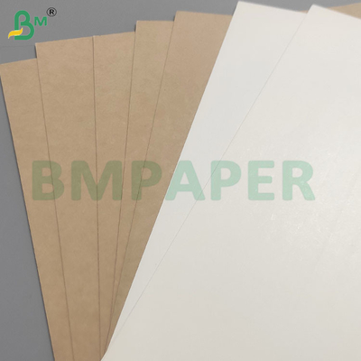 Hojas de papel de base de copa recubiertas en PE resistentes al calor y al frío y a las fugas