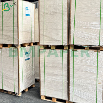 Hojas de papel de base de copa recubiertas en PE resistentes al calor y al frío y a las fugas