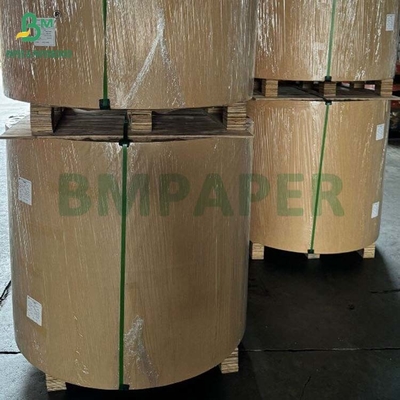 Biodegradable 100 gm - 400 gm Rollo de papel de base de pulpa de caña de azúcar natural