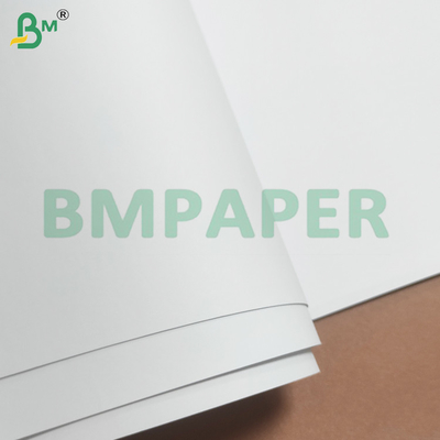 Hojas de papel doble offset sin madera para impresión y embalaje