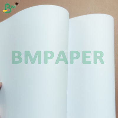 Hojas de papel doble offset sin madera para impresión y embalaje