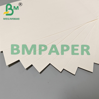 190 g 210 g Papel de rollo desechable de copa de bebida caliente 15 g PE recubierto