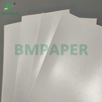 Resistente al agua PE único recubierto 190gsm 210gsm Cupstock para hacer vasos de papel caliente y frío