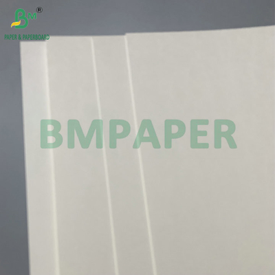 Resistente al agua PE único recubierto 190gsm 210gsm Cupstock para hacer vasos de papel caliente y frío