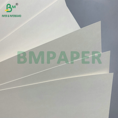 Resistente al agua PE único recubierto 190gsm 210gsm Cupstock para hacer vasos de papel caliente y frío