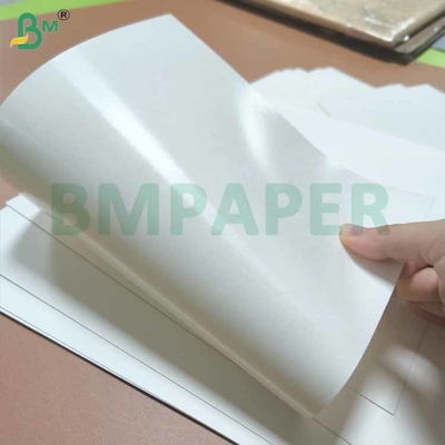 Material de tablero de copa resistente al calor PE recubierto de un lado de color blanco