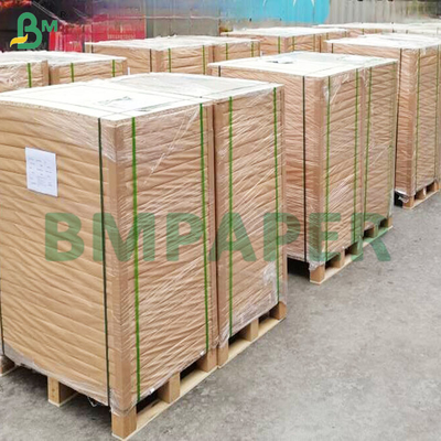Calidad alimenticia 40gm Hojas de papel de horneado coloridas a prueba de grasa