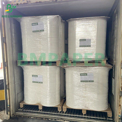 Papel de filtro de café de grado alimenticio de pulpa de madera blanqueada y no blanqueada de 50 gramos 328 mm