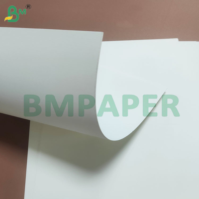 Protección resistente a la humedad con revestimiento en PE Rollos de papel desechables para tazas