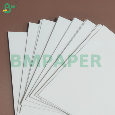 Protección resistente a la humedad con revestimiento en PE Rollos de papel desechables para tazas