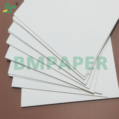Protección resistente a la humedad con revestimiento en PE Rollos de papel desechables para tazas