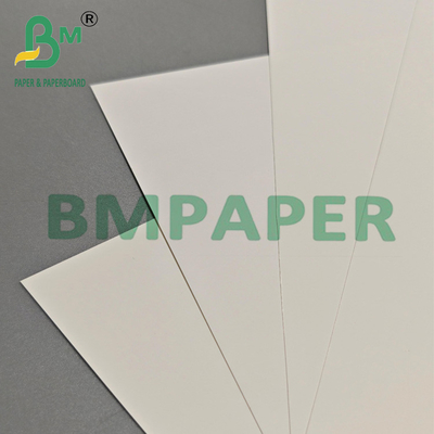 Papel de película de PET de 200 mm para envases de exportación y etiquetas industriales