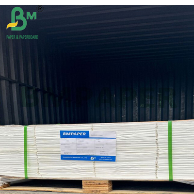 Papel de película de PET de 200 mm para envases de exportación y etiquetas industriales