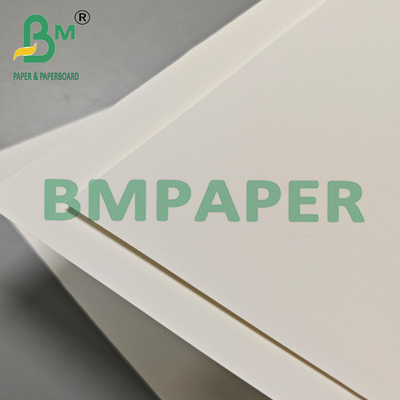 Papel de película de PET de 200 mm para envases de exportación y etiquetas industriales