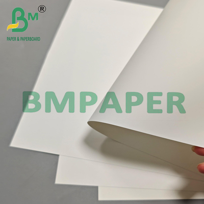 Papel de película de PET de 200 mm para envases de exportación y etiquetas industriales