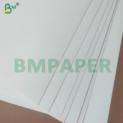 270GSM+15GSM Hojas de papel de base para tazas impermeables recubiertas en PE CUPP2S