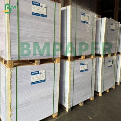250 gramos de papel de base acuosa de taza de plástico sin grado alimenticio