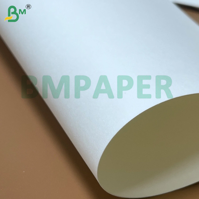 PE revestido no tóxico Eco-amigable buena maleabilidad impermeable de la copa Hojas de papel para la copa