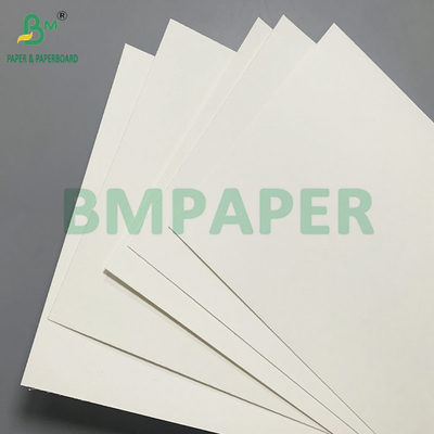 Revestimiento PE de una sola cara 18 gm 190 gm 210 gm Material de tazas de papel para tazas de café