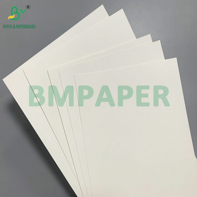 Revestimiento PE de una sola cara 18 gm 190 gm 210 gm Material de tazas de papel para tazas de café