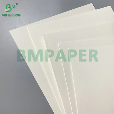 Revestimiento PE de una sola cara 18 gm 190 gm 210 gm Material de tazas de papel para tazas de café