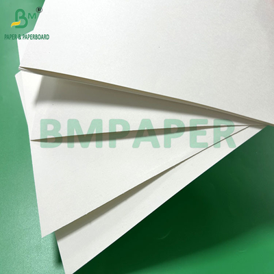 240 gm 260 gm Papel de tazas blancas imprimibles para hacer tazas 700 mm 800 mm