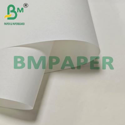 30 grs 800 mm Papel en blanco resistente a la grasa para el embalaje de alimentos fritos