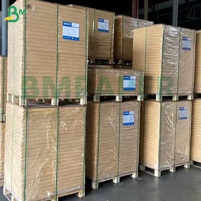 1073B 1059B Papel Dupont de alta resistencia a las bacterias sellable por calor para dispositivos médicos