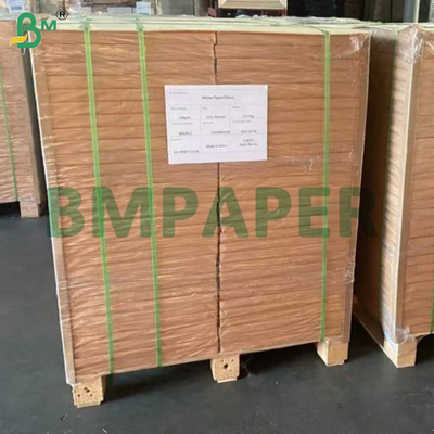Colored 45gsm Easy Slip Paper Grease Resistance For Baking Cup Making