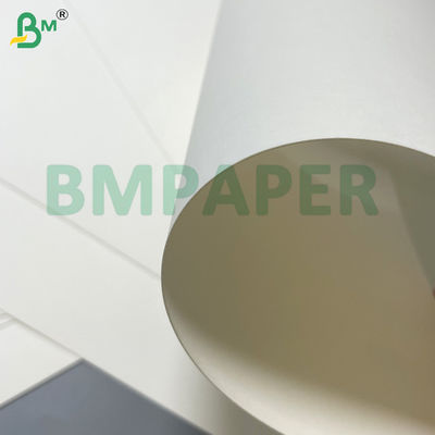 240g de taza de café papel taza blanca extensible de calidad alimentaria papel de taza para taza de helado