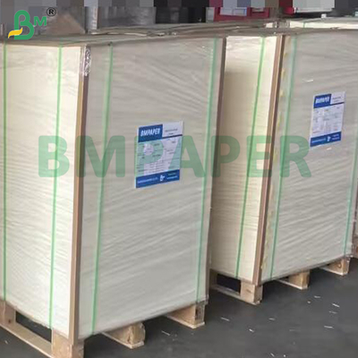 40 gramos de papel de horno recubierto de silicona resistente al calor y no pegajoso para hornear