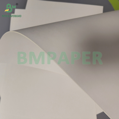 Papel Kent Mate Blanco Natural de 210 g/m² para Impresión Artística, 270*390mm