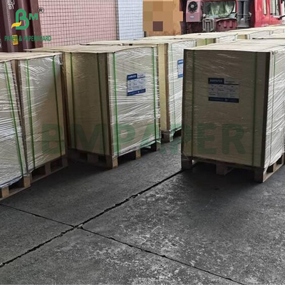 Cartón blister brillante con recubrimiento superior de 300 gramos y 325 gramos para envasado por termosellado
