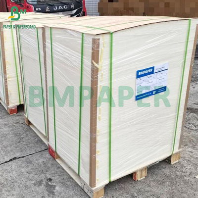 Cartón blister brillante con recubrimiento superior de 300 gramos y 325 gramos para envasado por termosellado