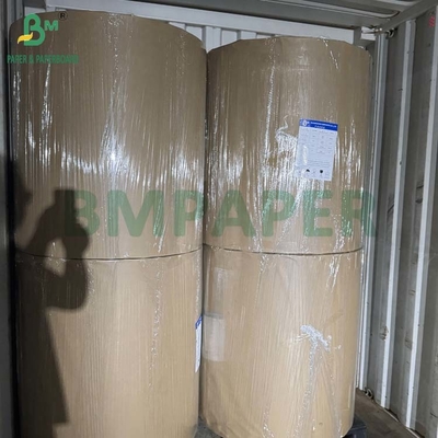 Papel de filtro de café de grado alimenticio con acabado crepé de 20 gramos, 25 gramos, 33 gramos y 50 gramos