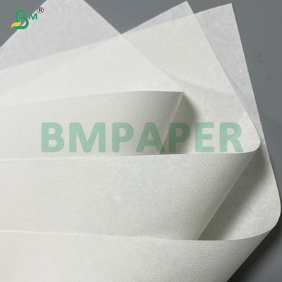 Papel de filtro de café de grado alimenticio con acabado crepé de 20 gramos, 25 gramos, 33 gramos y 50 gramos
