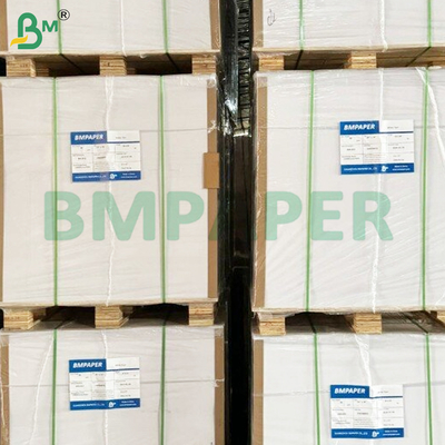 Bobinas de papel offset sin madera de 60 g/m² y 42 cm de ancho