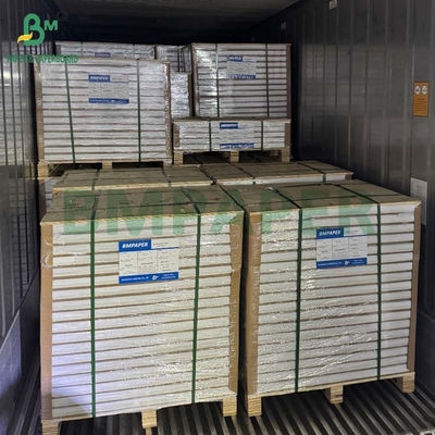 Good Adhesion Heat Sealing Blister Cardboard 400g for Clamshell Packing