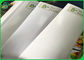 Eco - rollo cubierto PE biodegradable amistoso del papel de categoría alimenticia de 180gsm 200gsm 230gsm para la fiambrera