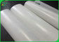 Diversas bobinas blancas del papel del G/M Kraft con el PE cubierto para el empaquetado de la nuez