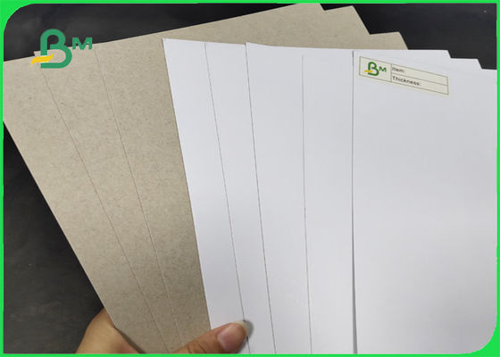 200 / 230gr C1S con la anchura 1250m m del AA del grado de la parte posterior del gris con el SGS y el FSC certificados