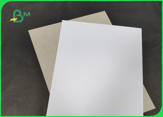 200 / 230gr C1S con la anchura 1250m m del AA del grado de la parte posterior del gris con el SGS y el FSC certificados