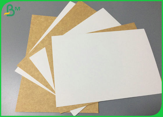 Tablero respetuoso del medio ambiente 250g 270g 300g de la categoría alimenticia para la materia prima de la fiambrera