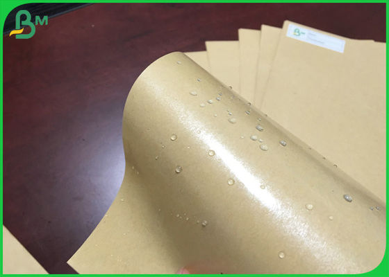 787 mm 250 g de papel Kraft marrón con 15 g de PE recubierto para la caja de pizza a prueba de aceite