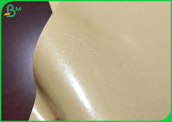 787 mm 250 g de papel Kraft marrón con 15 g de PE recubierto para la caja de pizza a prueba de aceite