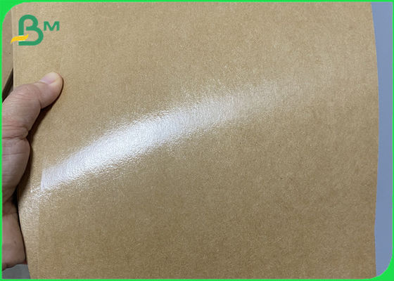 275gsm/300gsm impermeables a la grasa PE cubrió el rollo de papel marrón de Kraft para el cuenco para llevar